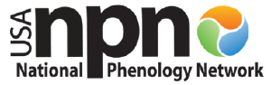USA National Phenology Network USA National Phenology Networklogo